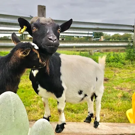 Les D'hotes La Guiberdiere