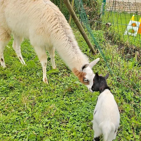 Les D'hotes La Guiberdiere Castilly