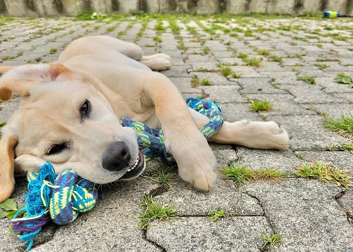 Les D'hotes La Guiberdiere Bed & Breakfast 3*