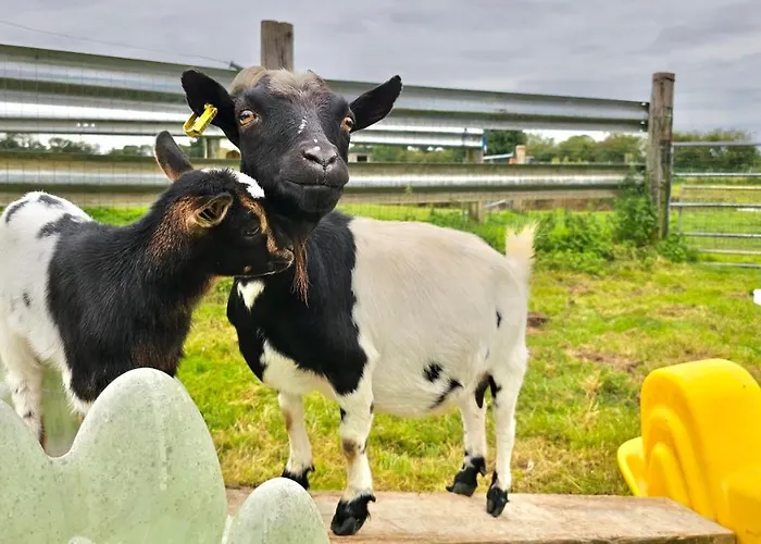Les D'hotes La Guiberdiere