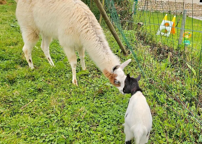 Les D'hotes La Guiberdiere Castilly